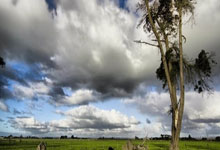 巴黎出征英超：欧洲最顶尖球队之一的崛起之旅