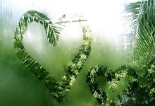 南美豪门球队签下欧洲巨星加强实力