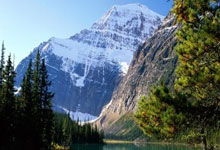 南安普顿主场胜出，积分榜稳固表现：足球魅力再现